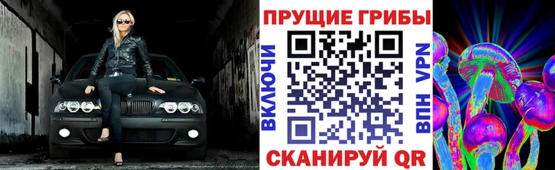 Псилоцибиновые грибы ЛСД  как найти закладки  Подпорожье 