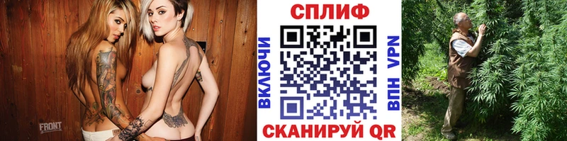 Конопля ГИДРОПОН  цена   блэк спрут ССЫЛКА  Подпорожье 